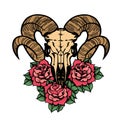 Rose tattoo with skull of a sheep. Horns