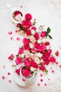 Rose tea. Flowers and buds  cascading from white  kettle to teacup Royalty Free Stock Photo