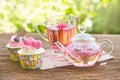 rose tea with tea pot in the garden Royalty Free Stock Photo