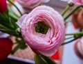 Rose tender flowers close up