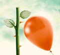 Rose thorn and Red Balloon