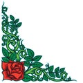 Rose and Thorns Border