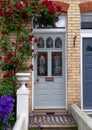 Rose tree by entrance door