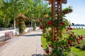 Rose trellis and garden at beach of lake Balaton, in Balatonfured, Hungary