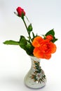 Rose in vase