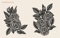 Rose vector lace by hand drawing.Rose lace art highly detailed in line art style