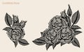Rose vector lace by hand drawing.Rose lace art highly detailed in line art style