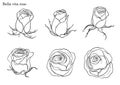 Rose vector set by hand drawing