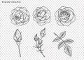 Rose vector set by hand drawing