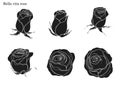 Rose vector set by hand drawing