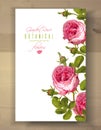 Rose vertical banner