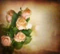 Rose.Vintage styled Royalty Free Stock Photo