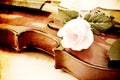 Rose on a Violin