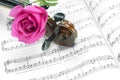 Rose And Violin