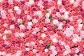 Rose wall background, pink red color flower