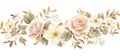 Rose watercolor pink wedding blossom design flower background illustration bouquet floral botanical Royalty Free Stock Photo