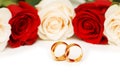 Rose and wedding rings isolated Royalty Free Stock Photo