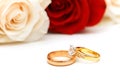 Rose and wedding rings isolated on the white Royalty Free Stock Photo