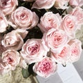 Rose White Pink O`hara. Bouquet of pink roses in a glass vase Royalty Free Stock Photo