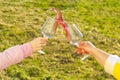 Rose white splashes on green grass background. Clink with red wine glasses outside on the garden. garden party. Two Royalty Free Stock Photo