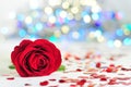 Rose on the white tablecloth between hearts, colorful lights in the background Royalty Free Stock Photo