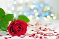 Rose on the white tablecloth between hearts, colorful lights in the background Royalty Free Stock Photo