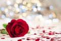 Rose on the white tablecloth between hearts. Royalty Free Stock Photo