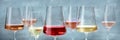 Rose and white wines panorama. Various wine glasses at a tasting at a winery Royalty Free Stock Photo