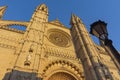 Rose window of the cathedral of Palma Royalty Free Stock Photo