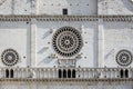 Rose windows, cathedral of San Rufino, Assisi, Italy