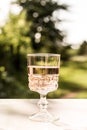 Rose wine in glass. Prosecco