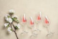 Rose wine in glasses and blossom sakura branch artificial. Beige grunge plaster background. Top view, flat lay. Spring holidays