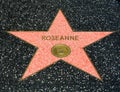 Roseanne Barr star on the Hollwyood Walk of Fame