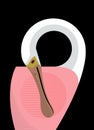 Roseate spoonbill