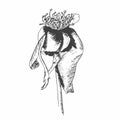 Rosebud vector. Rose illustration. Rose ink style Royalty Free Stock Photo
