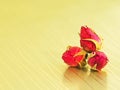 Rosebuds on a golden background