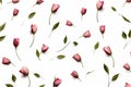 Rosebuds Seamless photo pattern in minimal style