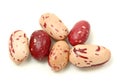Rosecoco bean Royalty Free Stock Photo
