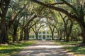 Rosedown Plantation