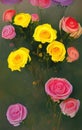 The rosefield - color emotive digitally painted artwork Royalty Free Stock Photo