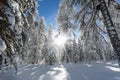 Roseg Valley - Engadine - Switzerland