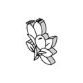 rosehip aromatherapy isometric icon vector illustration Royalty Free Stock Photo