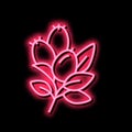 rosehip aromatherapy neon glow icon illustration Royalty Free Stock Photo
