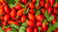 Rosehip berry natural background