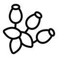 Rosehip bush icon outline vector. Garden natural rose plant