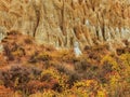 Rosehip bushes and Omarama Clay Cliffs gravel and silt formations on the South Island of New Zealand