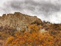 Rosehip bushes and Omarama Clay Cliffs gravel and silt formations on the South Island of New Zealand