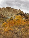 Rosehip bushes and Omarama Clay Cliffs gravel and silt formations on the South Island of New Zealand