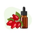 Rosehip essential oil in brown glass bottle, herbal alternative medicine treatment product, vector Illustration on white