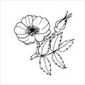 rosehip flower outline for product autumn design